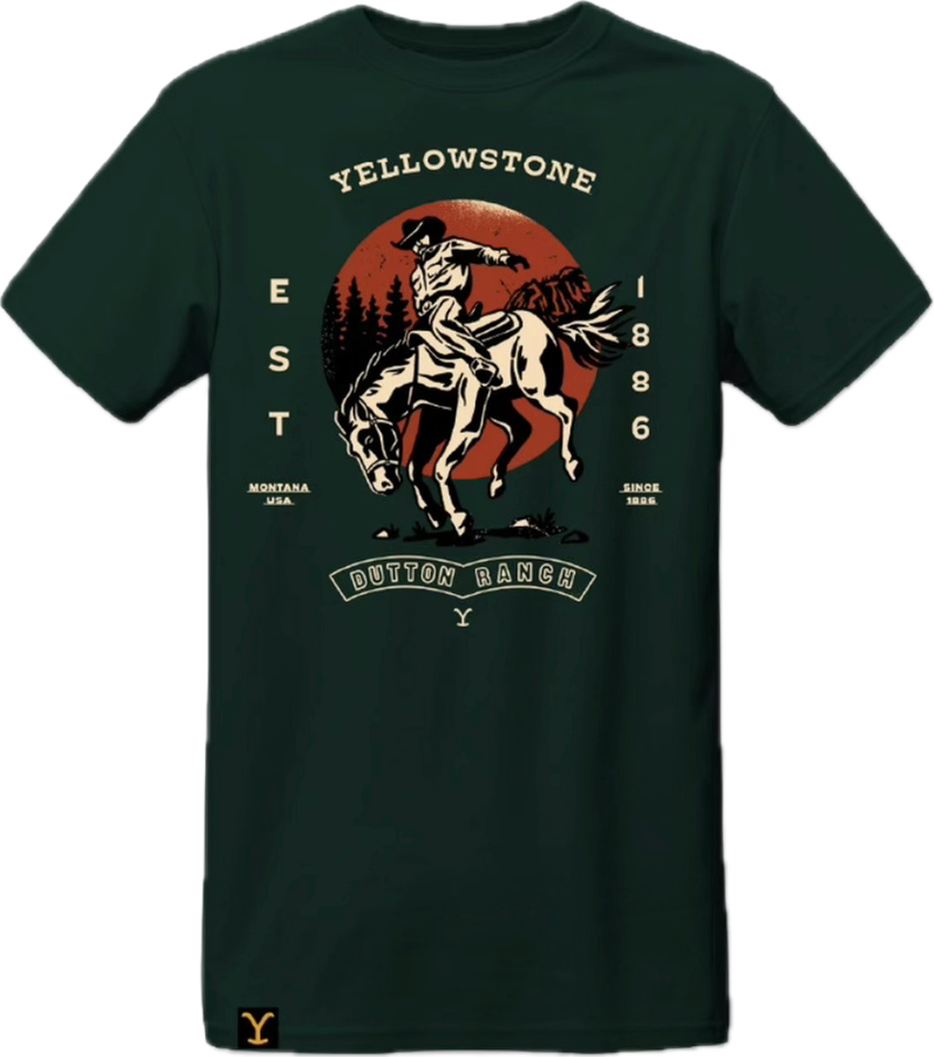 Player Yellowstone M1